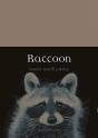 Raccoon - Preview