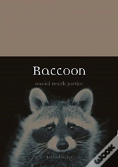 Raccoon