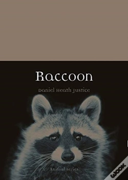 Capa do artigo Raccoon