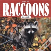 Raccoons For Kids