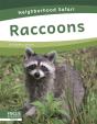 Raccoons - Preview