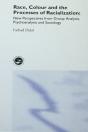 Race, Colour And The Processes Of Racialization - Preview