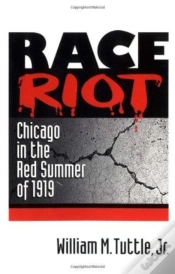 Capa do artigo Race Riot