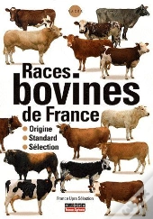 Races De Bovins De France