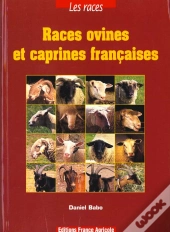 Races Ovines Et Caprines Francaises