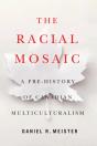 Racial Mosaic - Preview