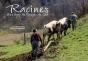 Racines, Hier Dans Les Vosges Du Sud - Preview