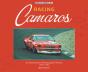 Racing Camaros - Preview