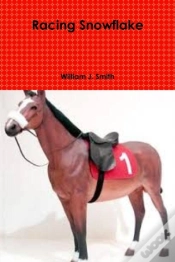 Capa do artigo Racing Snowflake