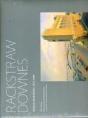 Rackstraw Downes - Preview