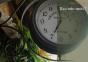 Raconte-Mois ! - Preview