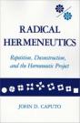 Radical Hermeneutics - Preview