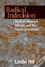 Capa do artigo Radical Indecision