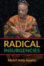 Radical Insurgencies - Preview