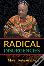 Radical Insurgencies