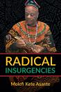 Radical Insurgencies - Preview