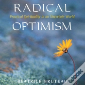 Capa do artigo Radical Optimism