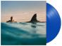 Radical Optimism - Vinil - Preview