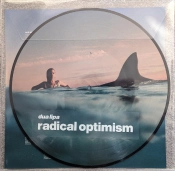 Capa do artigo Radical Optimism - Vinil
