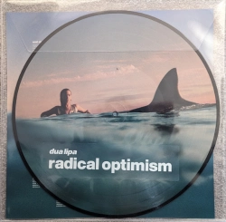 Capa do artigo Radical Optimism - Vinil