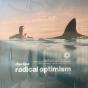 Radical Optimism - Vinil - Preview