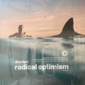 Capa do artigo Radical Optimism - Vinil