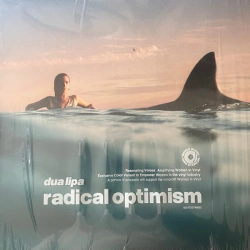Capa do artigo Radical Optimism - Vinil