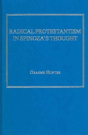 Radical Protestantism In Spinoza'S Thought - Preview