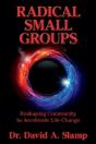 Radical Small Groups: Reshaping Community To Accelerate Authentic Life Change - Preview