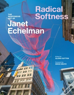 Capa do artigo Radical Softness
