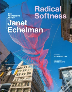 Capa do artigo Radical Softness