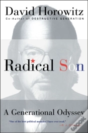 Capa do artigo Radical Son