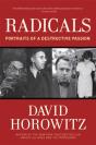Radicals - Preview