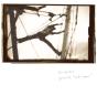 Radio Amor - Vinil - Preview