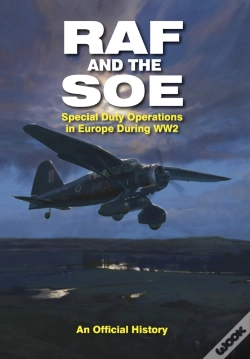 Capa do artigo Raf And The Soe