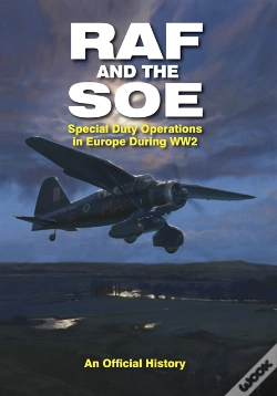 Capa do artigo Raf And The Soe