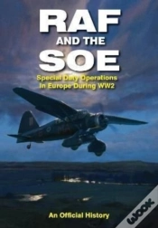 Capa do artigo Raf And The Soe