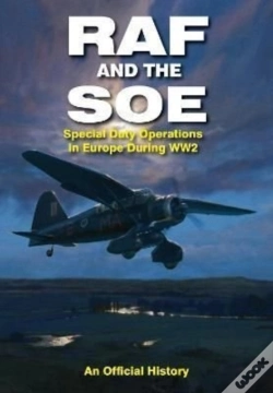 Capa do artigo Raf And The Soe