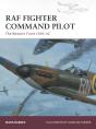 Raf Fighter Command Pilot - Preview