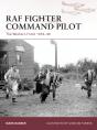 Raf Fighter Command Pilot - Preview