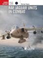 Raf Jaguar Units In Combat - Preview