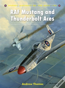 Capa do artigo Raf Mustang And Thunderbolt Aces
