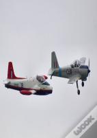 Raf Training Command