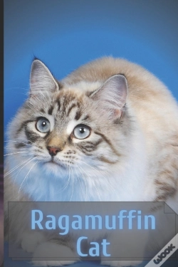 Capa do artigo Ragamuffin Cat