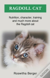Ragdoll Cat