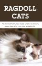 Ragdoll Cats - Preview