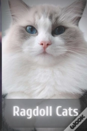 Capa do artigo Ragdoll Cats