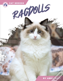 Capa do artigo Ragdolls