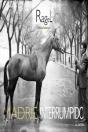 Ragel. Madrid Interrumpido - Preview