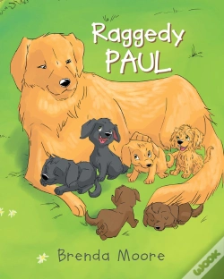 Capa do artigo Raggedy Paul